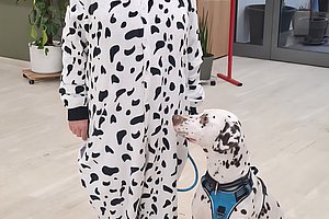 Person in Dalmatiner-Kostüm steht neben einem Dalmatiner-Hund, der sie verdutzt anschaut