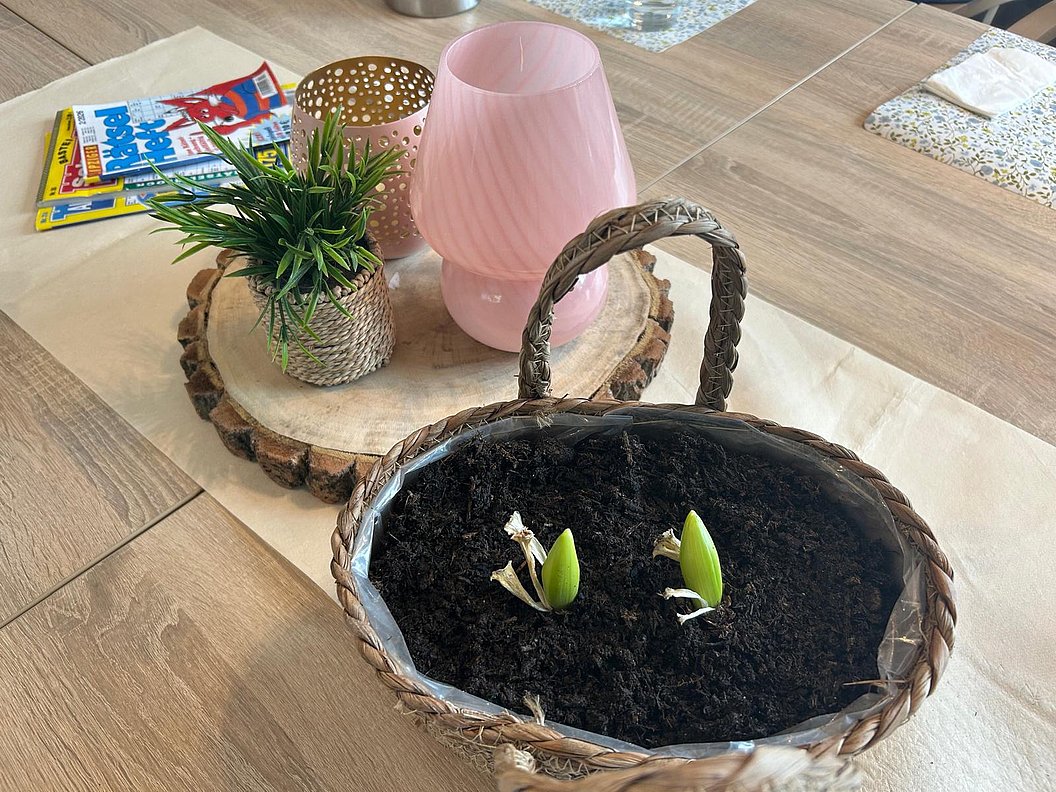 Geflochtener Korb mit Erde und zwei kleinen grünen Pflanzensprossen auf einem Holztisch neben einem Holztablett mit einer kleinen Topfpflanze, einer rosa Lampe und einer Zeitschrift