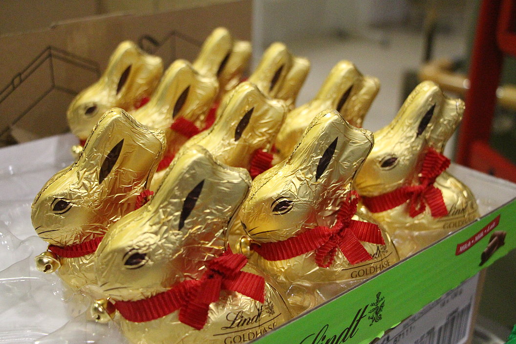 Mehrere goldene Schokoladenhasen mit roten Schleifen stehen in einer grünen Verpackung.