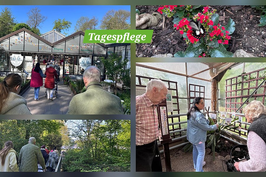 Besuch einer Tagespflegeeinrichtung: Menschen gehen hinein, Pflanzen im Innenraum, Aktivitäten werden durchgeführt.