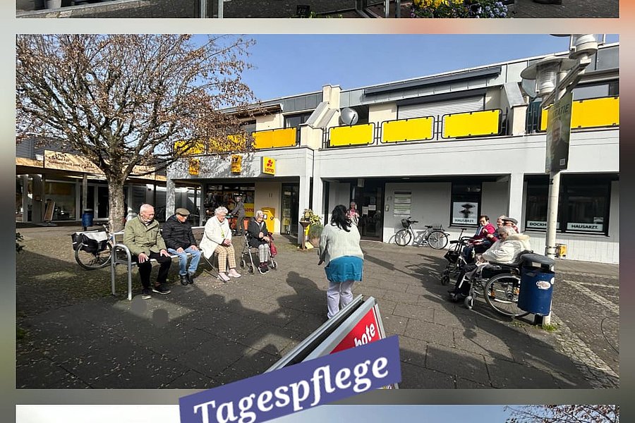 Drei Fotos zeigen eine Wohnanlage mit gelben Balkonen, davor Marktstände mit Pflanzen, Menschen auf Sitzbänken und eine Gruppe von Personen auf einem Platz mit Bänken und Bäumen.