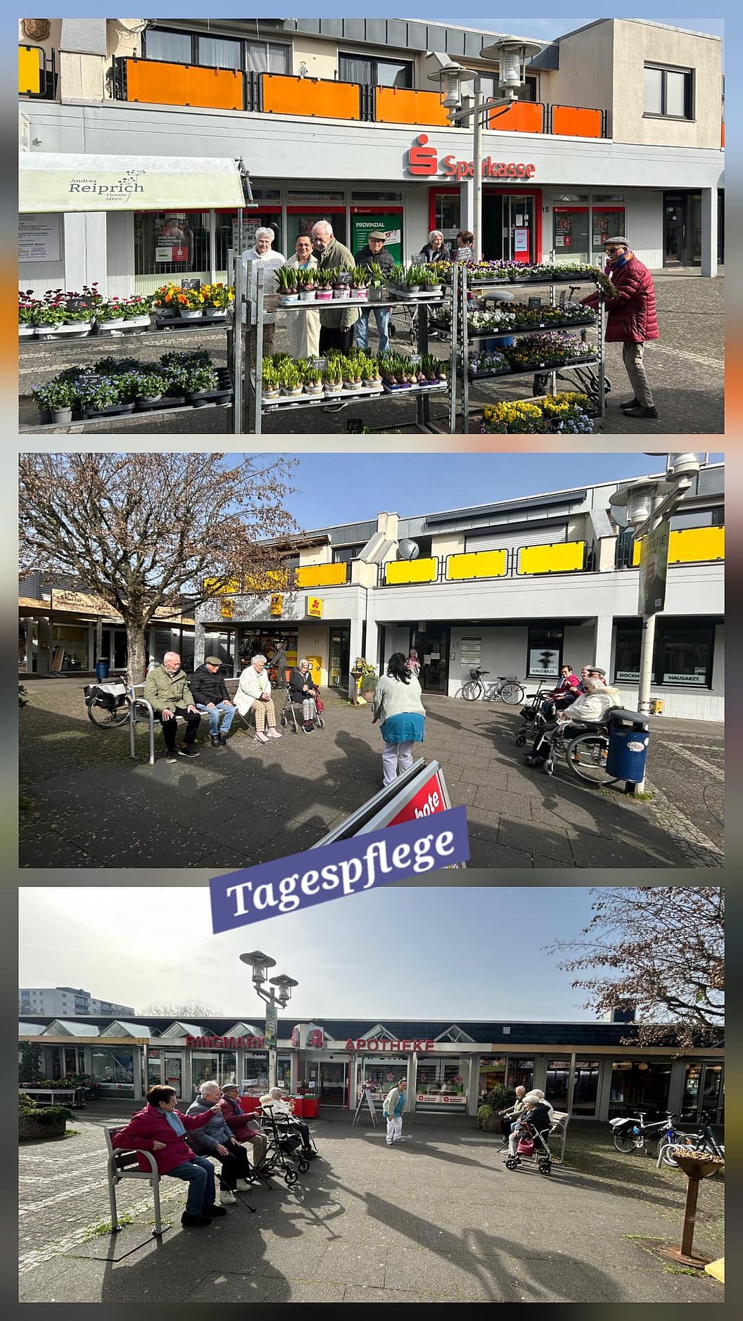 Drei Fotos zeigen eine Wohnanlage mit gelben Balkonen, davor Marktstände mit Pflanzen, Menschen auf Sitzbänken und eine Gruppe von Personen auf einem Platz mit Bänken und Bäumen.